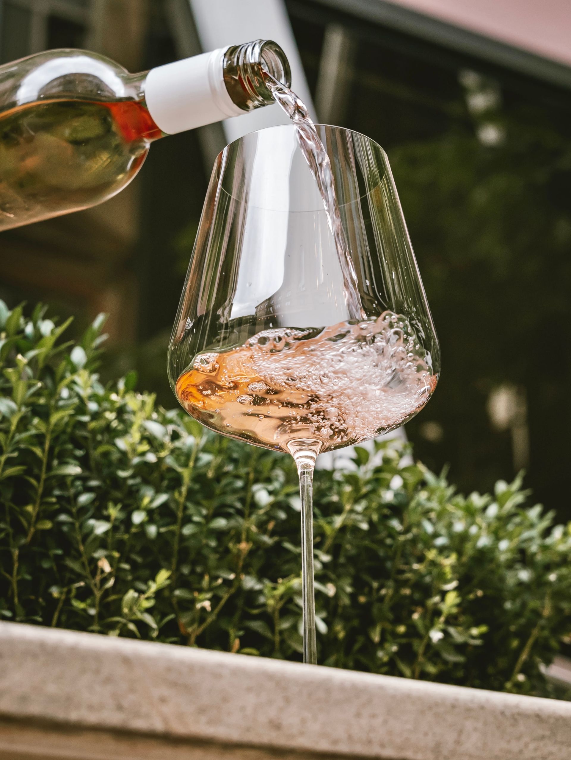 SUNSET WINE EXPERIENCE