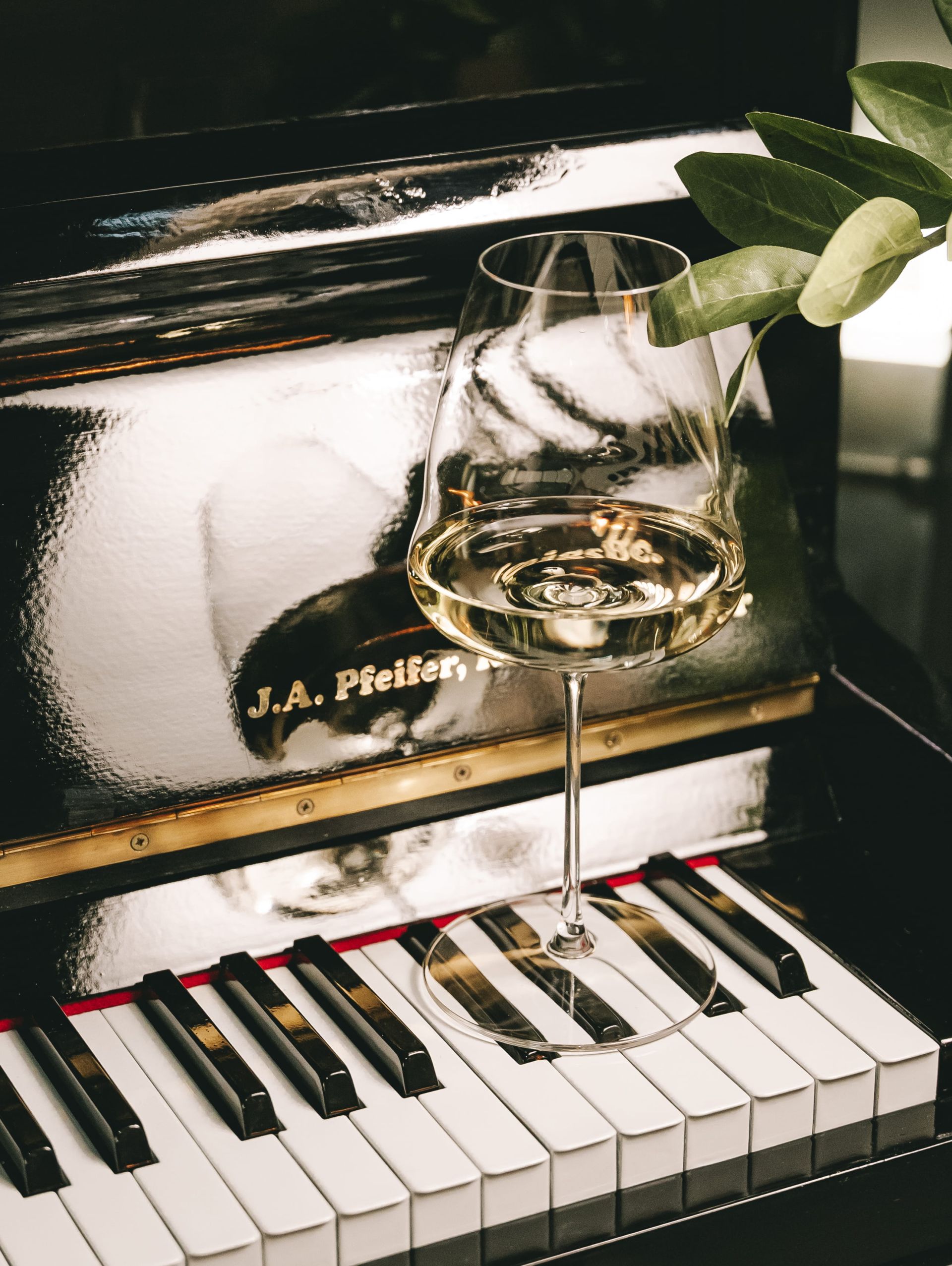 Discover the New World in your glass and experience Lviv in the most beautiful light of sunset._photo